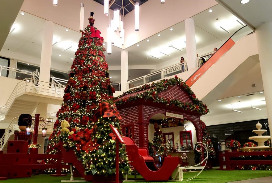 Natal Palladium Ponta Grossa tem fonte dos desejos, passeio de carrinho em  torno da árvore e presença do Papai Noel | D'Ponta News - Notícias de Ponta  Grossa e dos Campos Gerais!